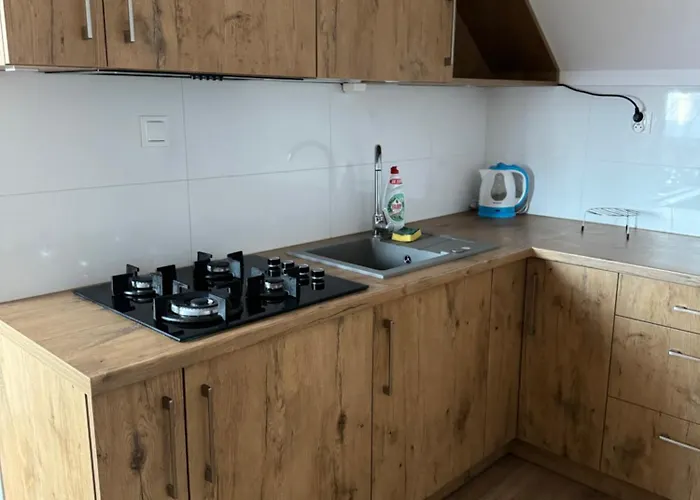 Apartamento Mieszkanie Wieloosobowe Wilkow Drugi (Grojec)